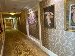 -大美母婴月子中心