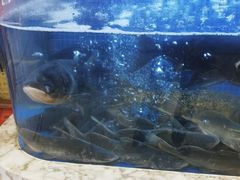 -香山湖渔家大院