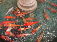 -北京新世纪饭店(动物园地铁站店)