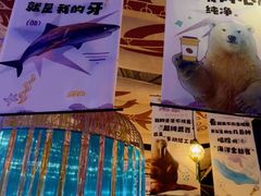 -海合安青岛极地海洋公园