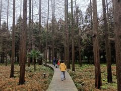 -上海怡沁园度假酒店