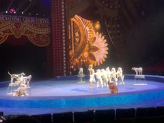 -珠海横琴长隆《卡卡虎奇遇记》