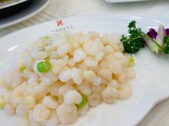 养油清炒虾仁-怡园饭店-餐厅(四望亭店)