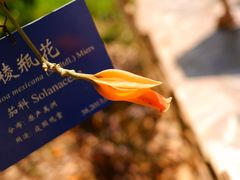 -中国科学院西双版纳热带植物园