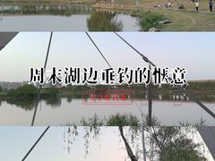 -渭滨公园