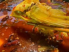 -鸿顺老铁锅美蛙鱼府(解放碑店)