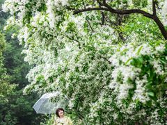 -国家植物园南园