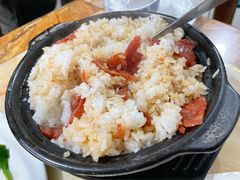 -煲来饱去冷水鱼