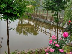 -同銮特种养殖场·龙虾垂钓