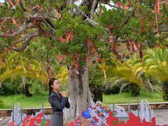 -世界恐龙谷景区