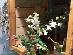 -花到家(富贵鸟花艺行)