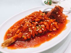 -新吉士·上海菜(浦东LCM置汇旭辉店)