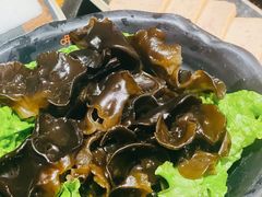 木耳-呷哺呷哺 黄金牧场 (新中关购物中心店)