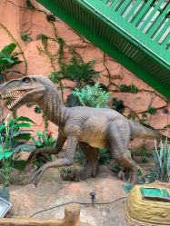 -宝燕乐园(闵行旗舰店)