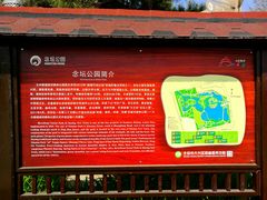 -大兴滨河森林公园