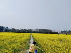 -蜀绣公园