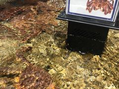 -盒马鲜生(曜一城店)