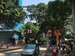 -利强记北角鸡蛋仔(弥敦道店 )