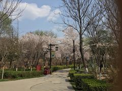 -西安汉城湖景区