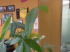 -雅悦齿科(顾村公园店)
