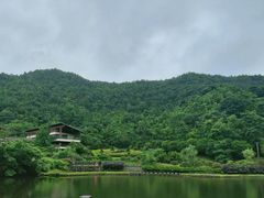 -桃花岭景区