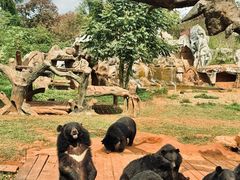 -海南热带野生动植物园