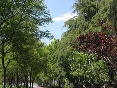 -大兴滨河森林公园