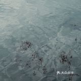 逃离城市计划｜南京有“海”，一眼梦回湘南海岸