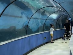 -苏州海洋馆