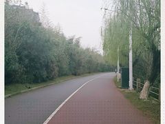 -艾溪湖湿地公园