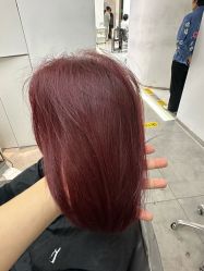 -天使之手