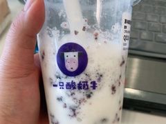 -一只酸奶牛(兰州中心店)