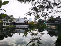 -荔湾湖公园