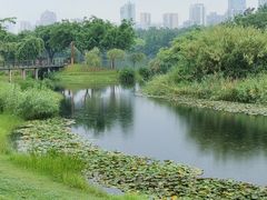 -眉山湿地公园(东坡区)