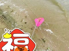 -柳湖沙月沙滩公园