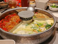 -巴奴毛肚火锅(二七万达店)