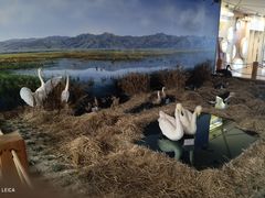 -延庆地质公园博物馆