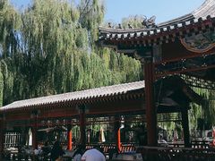 -尚庄度假村·庭台树下·户外烧烤·团建CS·轰趴营地(上庄水库店)
