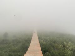 -白草畔自然风景区