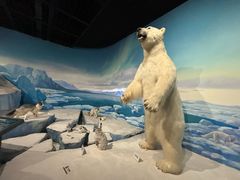 -陕西自然博物馆