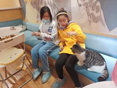 -滚猫咖啡·猫咖·猫友好撸猫(未来城店)