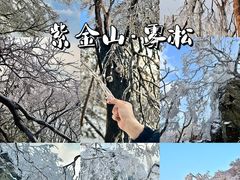 -紫金山山顶公园