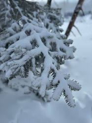 -大秃顶子山