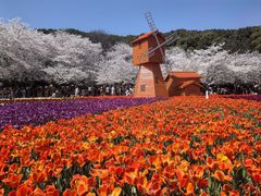 -苏州上方山国家森林公园