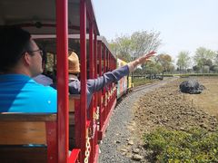 -歌斐颂巧克力小镇