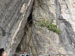 -重庆云阳龙缸景区