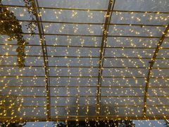 -三江森林温泉度假区