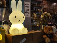 -咖法森林·咖啡  酒吧(天河店)