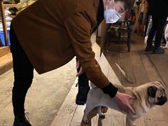 -萌喵咖啡屋(人民东路4号口M16商铺店)
