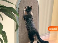 -瑞鹏宠物医院犬猫全科(真大分院)
